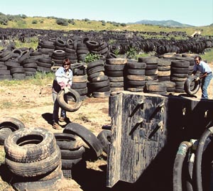 Tire Pile